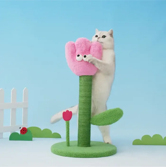 Cat is happy with cat stratching post
