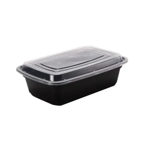 Disposable Rectangular Containers