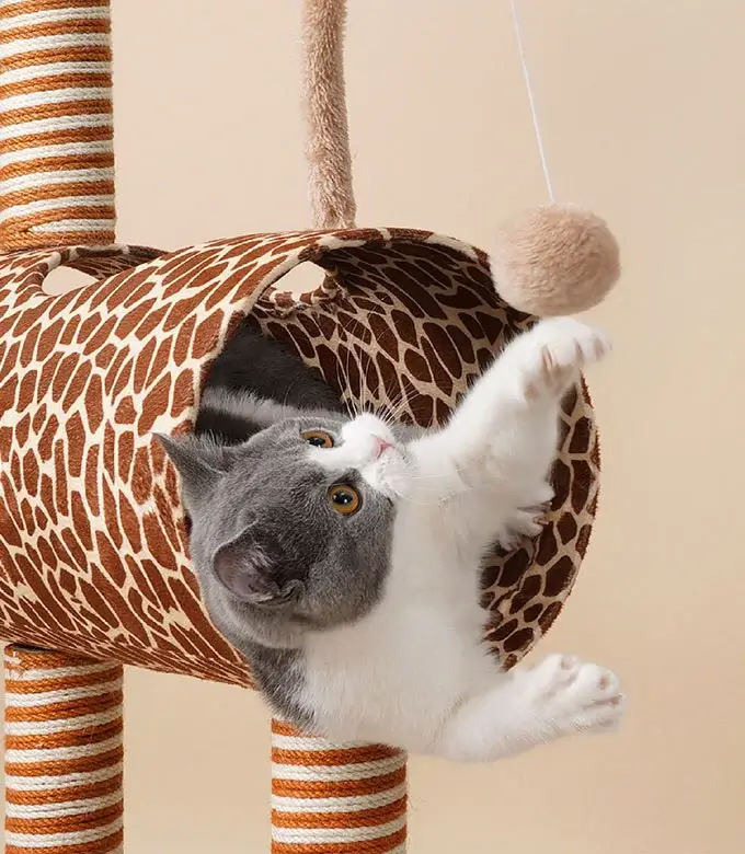 kitten-playing-on-giraffe-tree