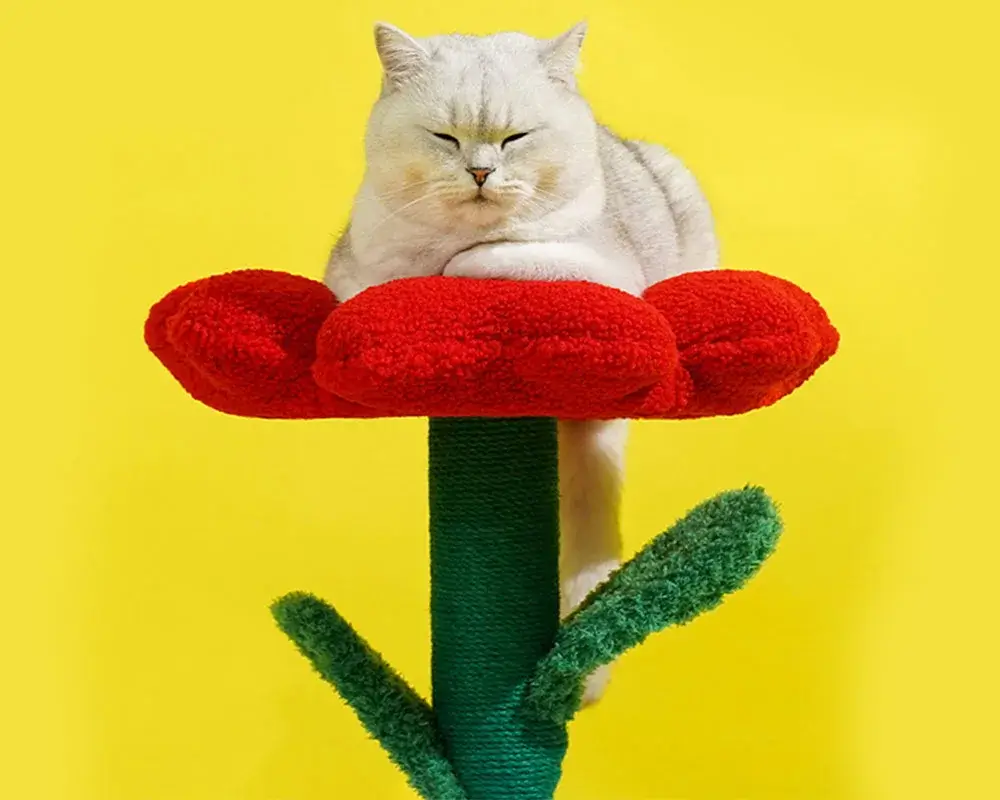 cat-resting-on-top-of-cat-condo